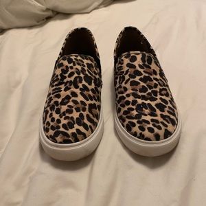 Steve Madden Cheetah Slip on Sneakers